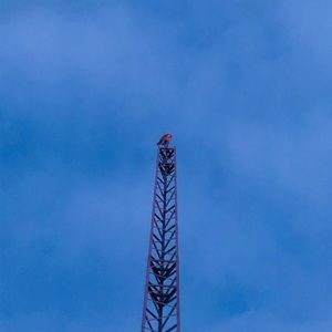 Meet your Posher, Travis